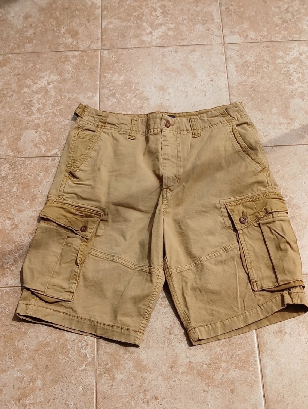 American Eagle Outfitters Men's Tan Cargo Shorts